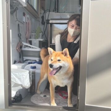 ライオンの飼育スタッフから出張トリマーを目指したワケとは？
