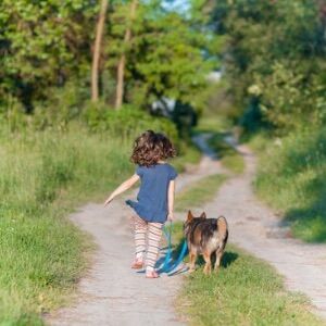 子育て・犬育て中の忙しいママさんへ