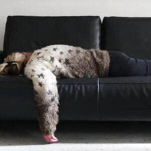 子育て・犬育て中の忙しいママさんへ